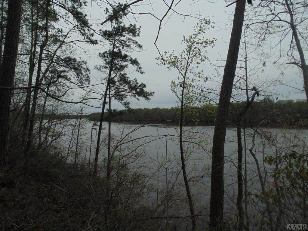 N/A Riversedge Drive - Photo 1