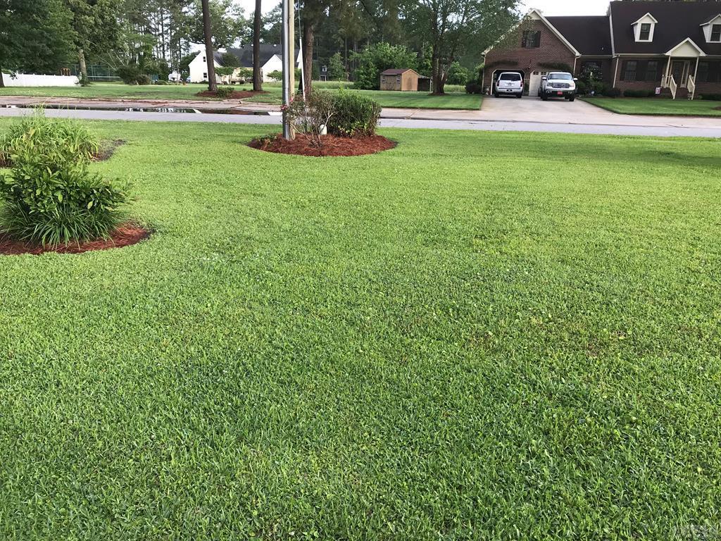 203 Gaston Drive - Photo 1