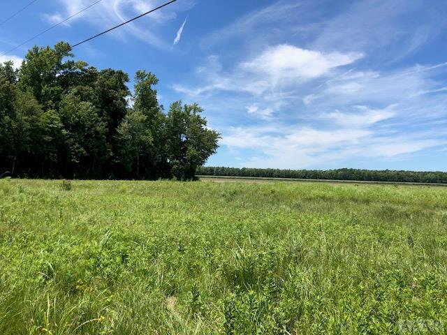 1133 Haughton Road - Photo 1