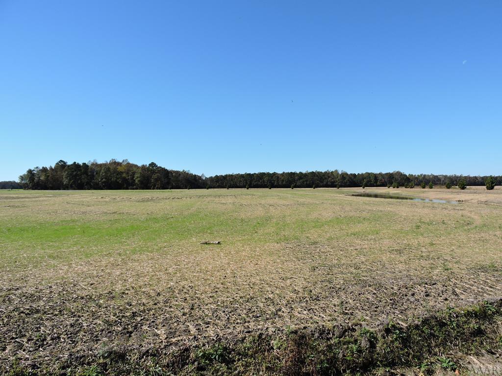 637 Sandy Hook Road - Photo 1