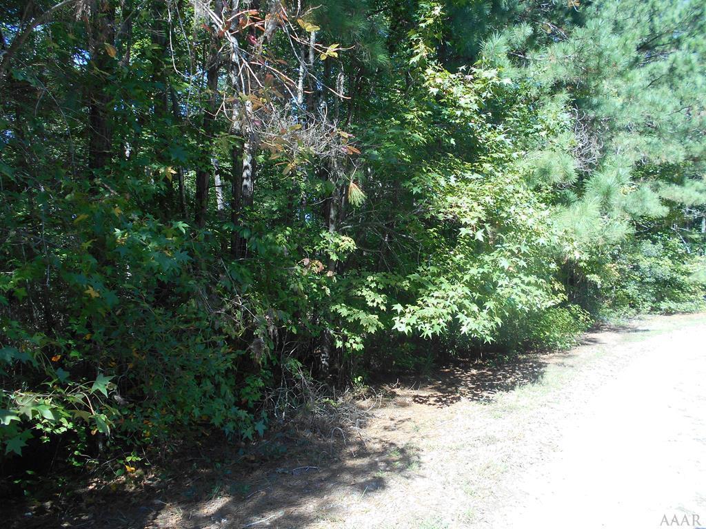 0000 Neck Road - Photo 1