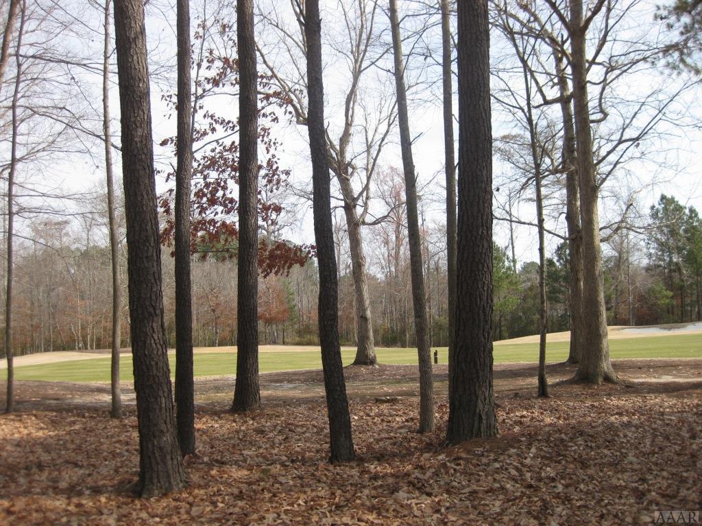 Lot 1 Roanoke Dr - Photo 1