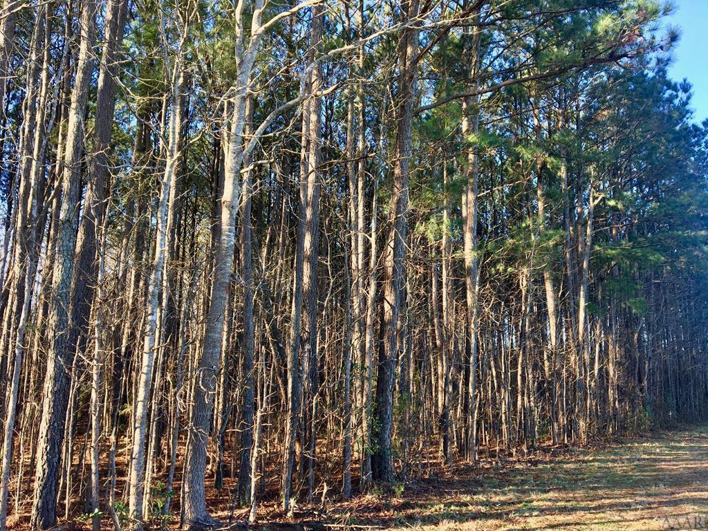 TBD State Road 1176 - Photo 1