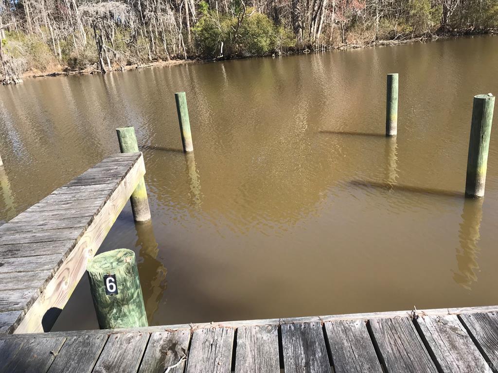lot 6 Pailin Creek Landing Road - Photo 1
