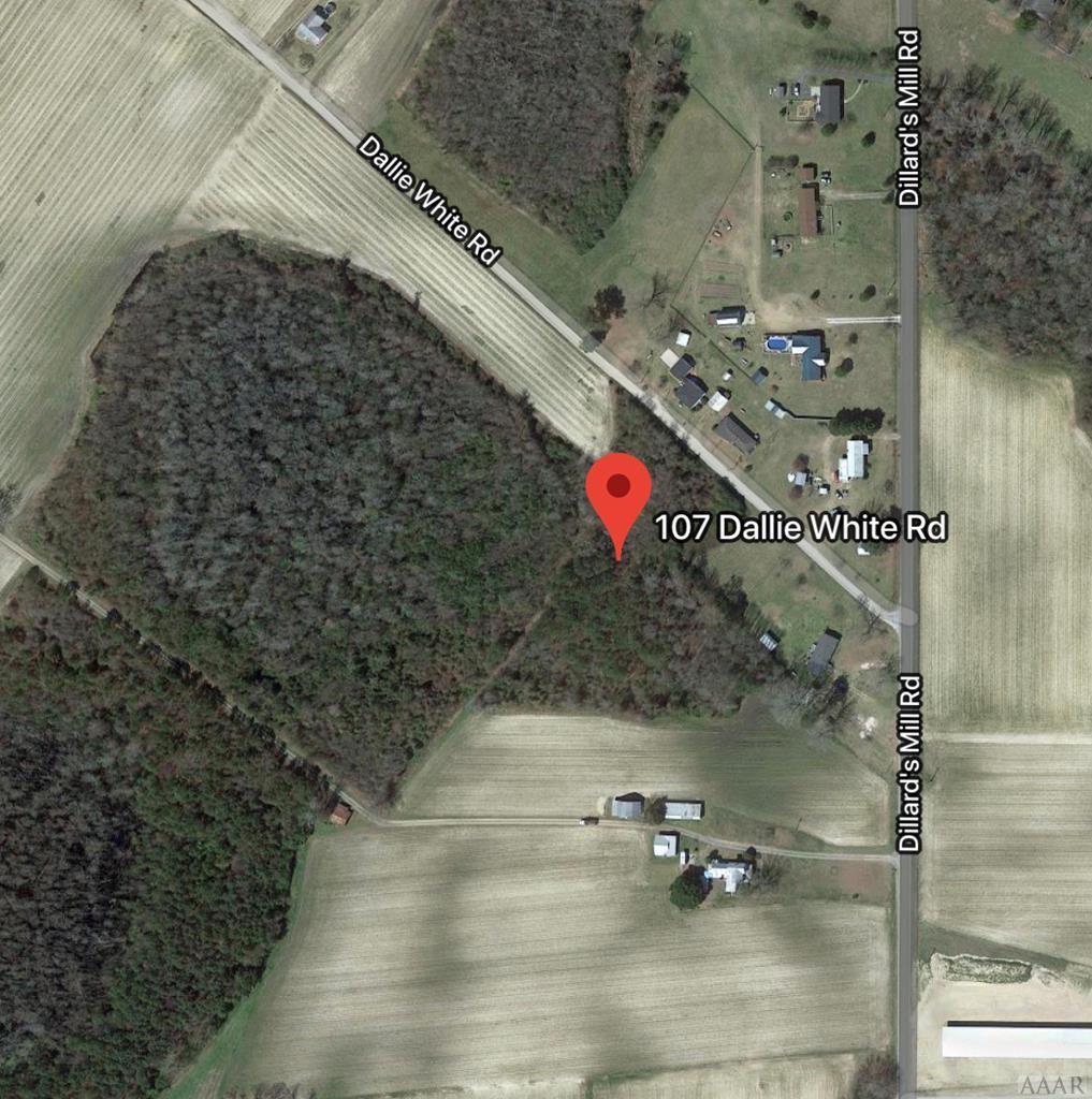 107 Dallie White Road - Photo 1