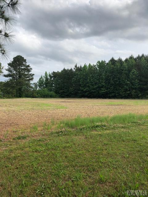 329 Black Mingle Road - Photo 1