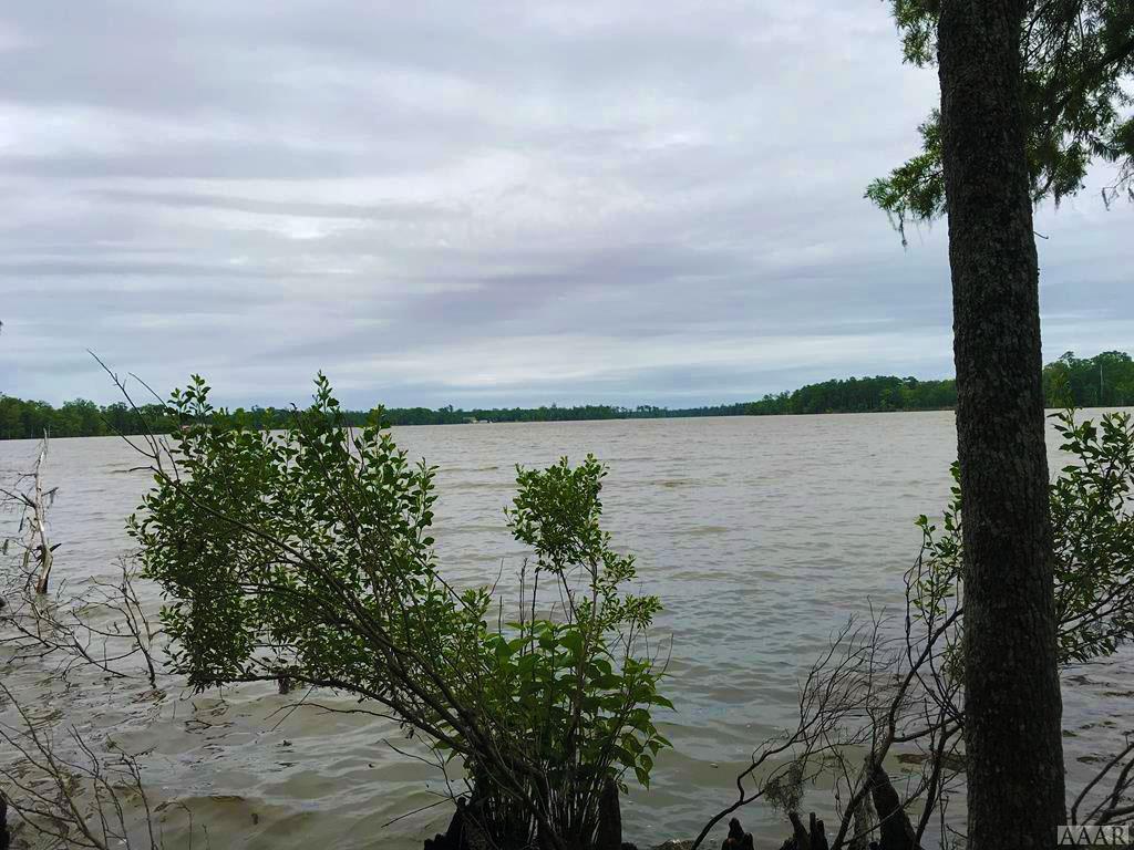 000 Snug Harbor Road - Photo 1