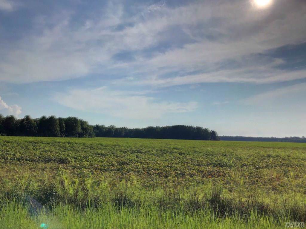 n/a Jones White Rd - Photo 1