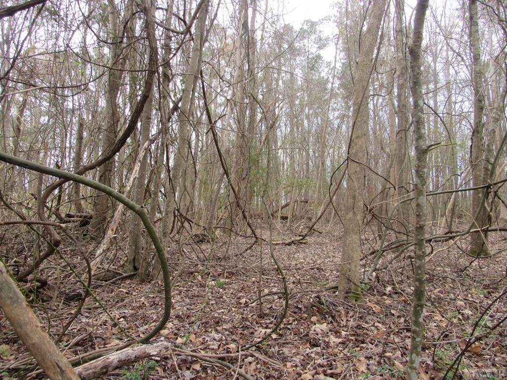 0000 Pinewood Avenue - Photo 1