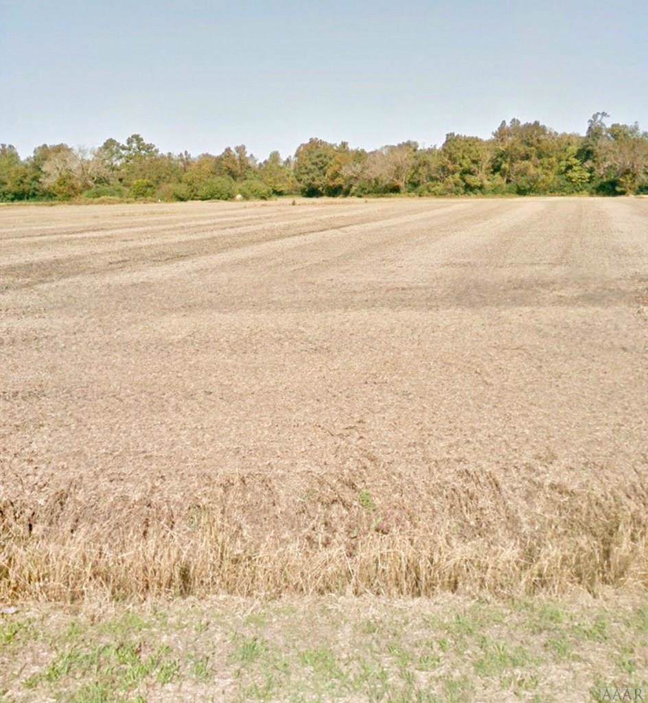 1990 Center Hill Hwy - Photo 1