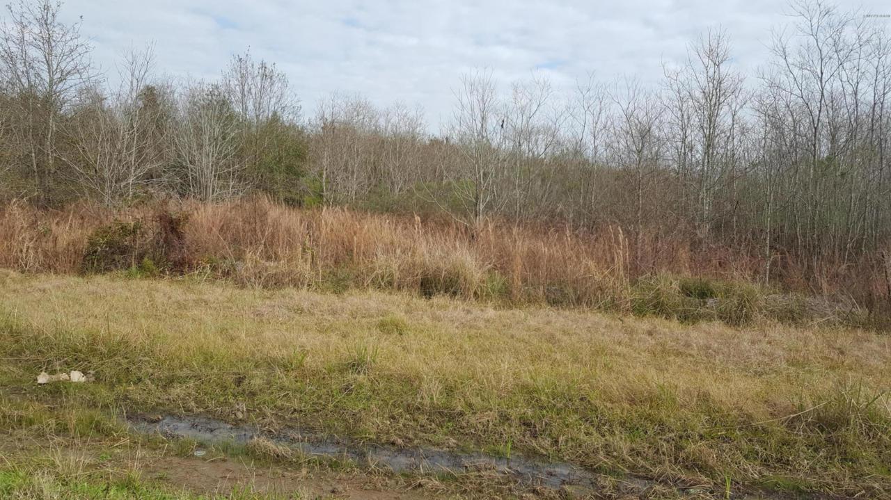 Tbd Hwy 90 W Frontage Road - Photo 1