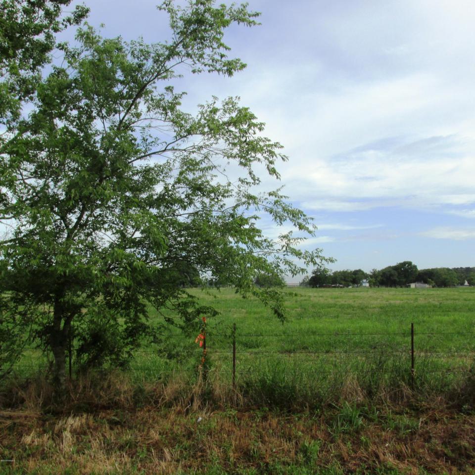 Tract 5 Ruppert Lake Road Road - Photo 1