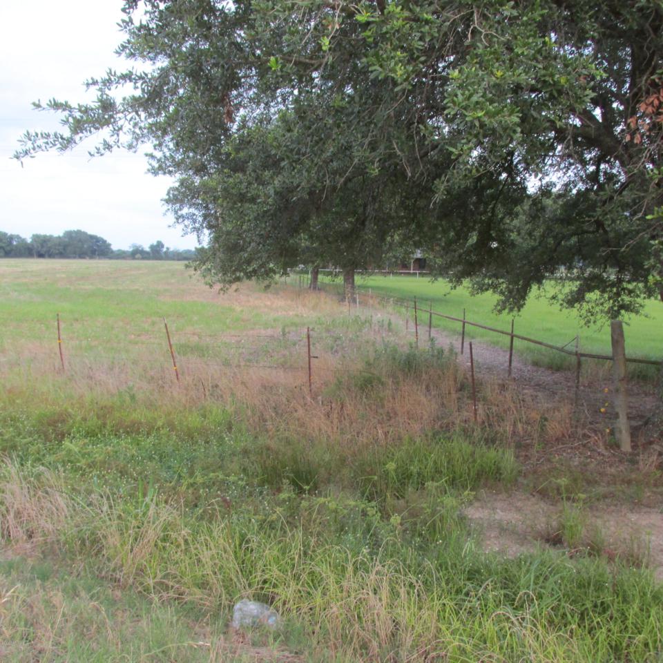 Tract 2 Eunice Iota Hwy - Photo 1