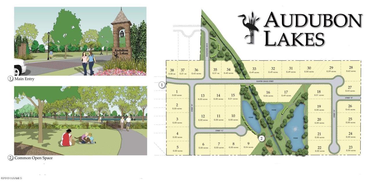 12 Audubon Lakes - Photo 1