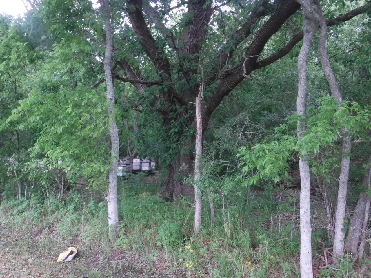 1339 Lourdes Road - Photo 1