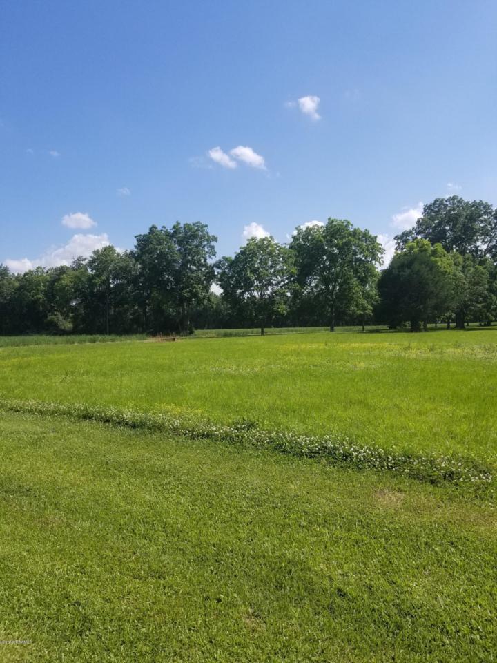 Tbd Breaux Bridge Sr High Road - Photo 1