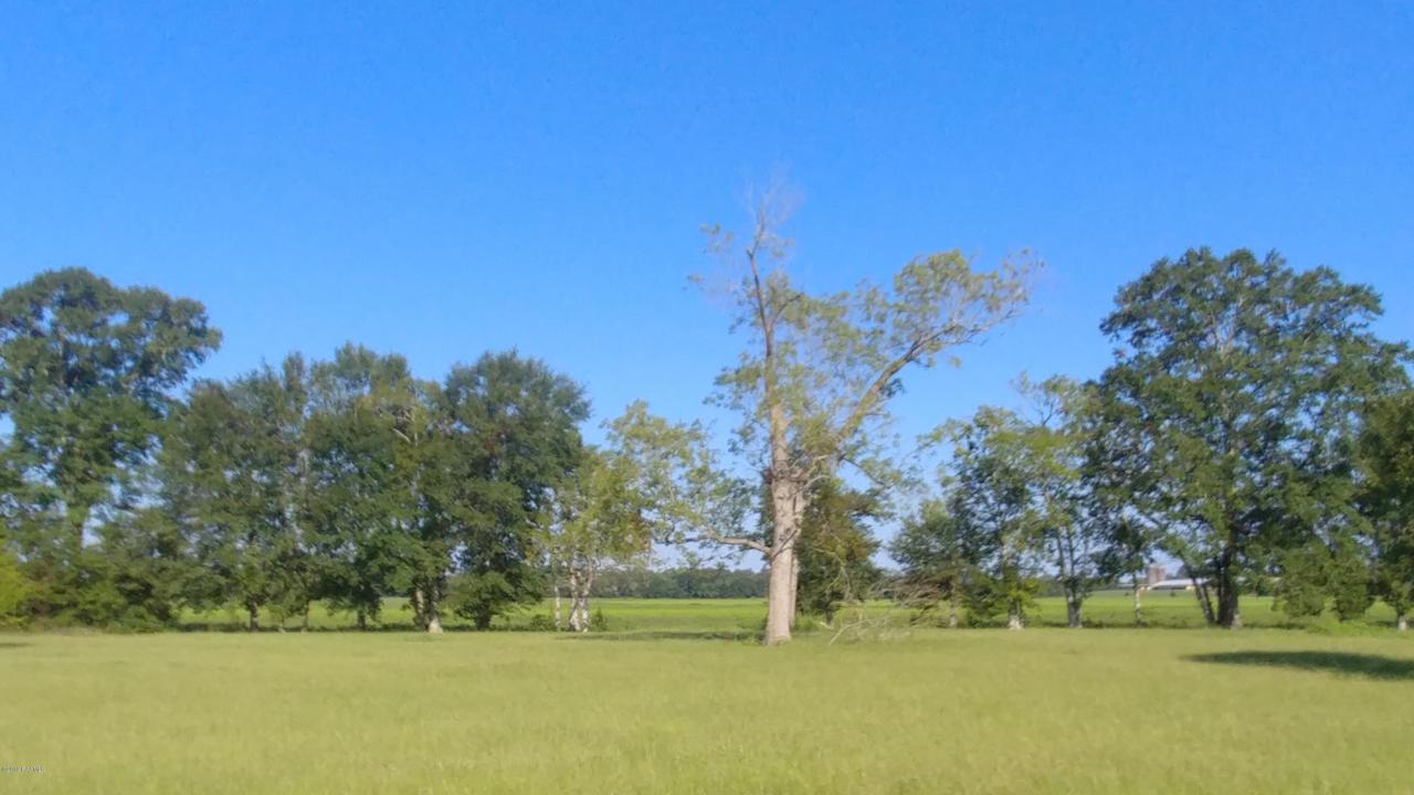 Tbd Pecan Ridge - Photo 1