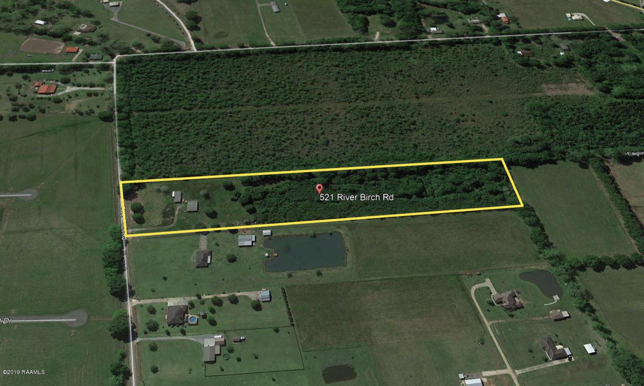521 River Birch Road - Photo 1 521 River Birch Road - Photo 1