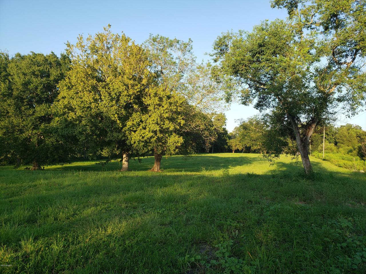 1272 George Dupuis Rd Road - Photo 1