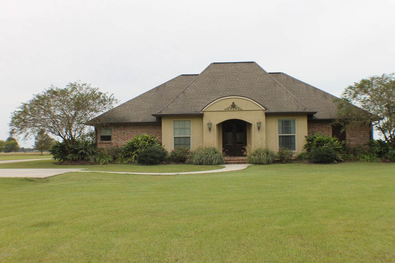 1005 Chinaberry Drive - Photo 1