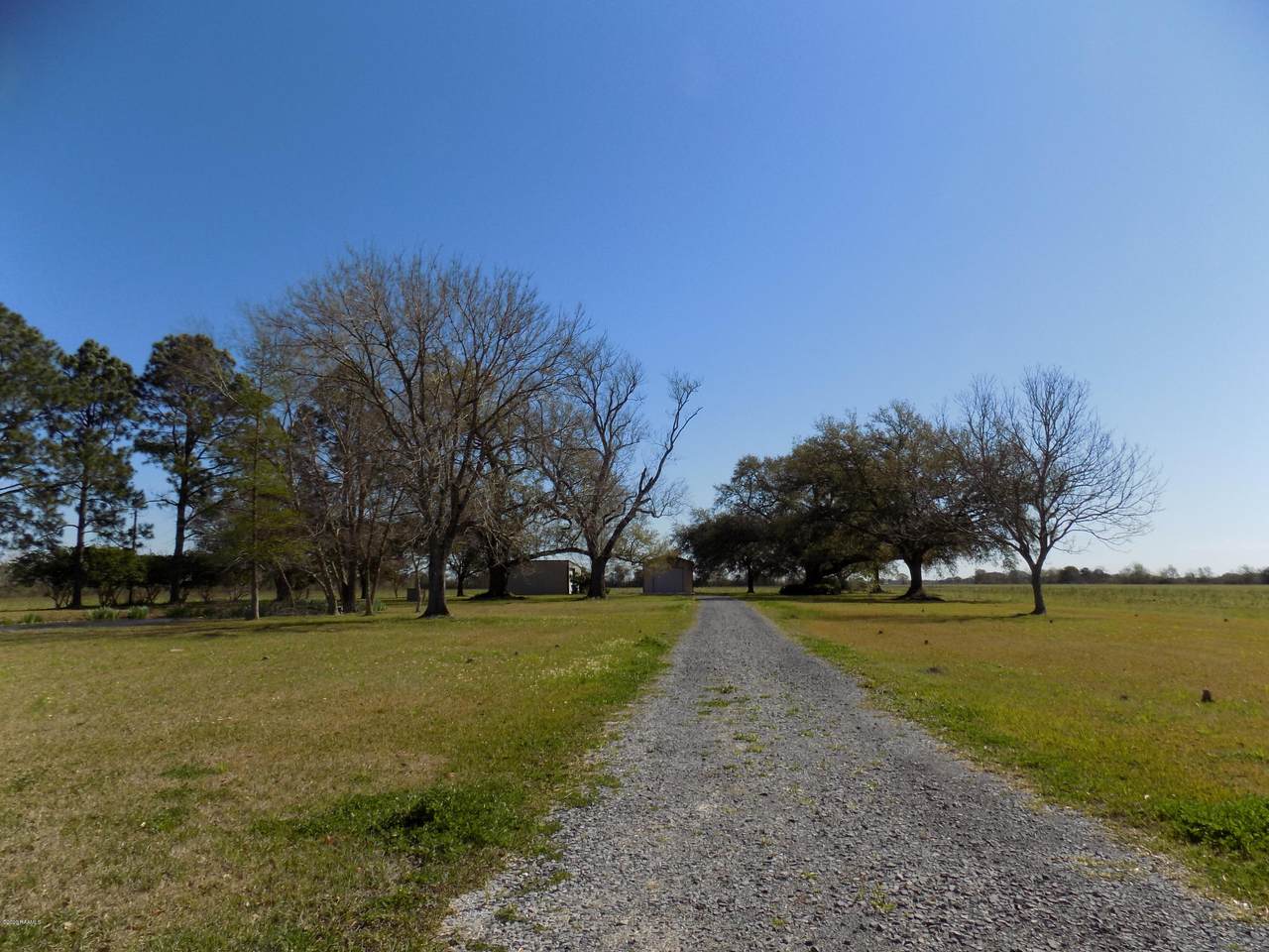 9537 Romules Road - Photo 1