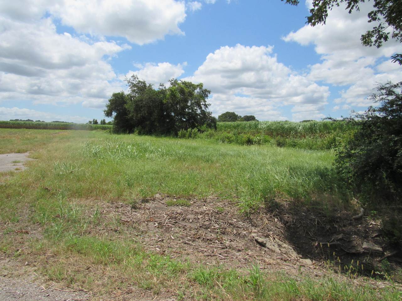 Olias Road - Photo 1