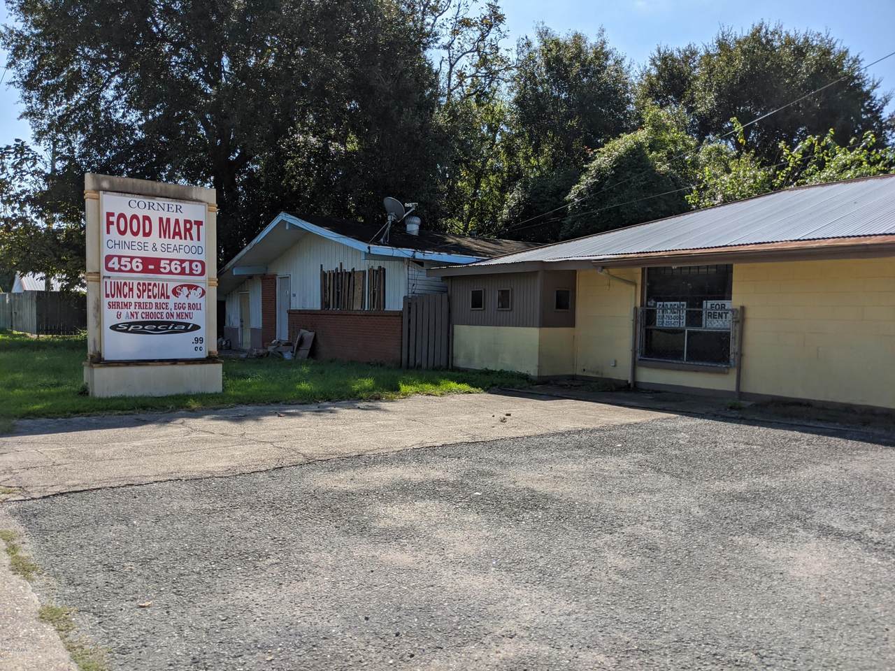1100 Martin Luther King Jr Drive - Photo 1