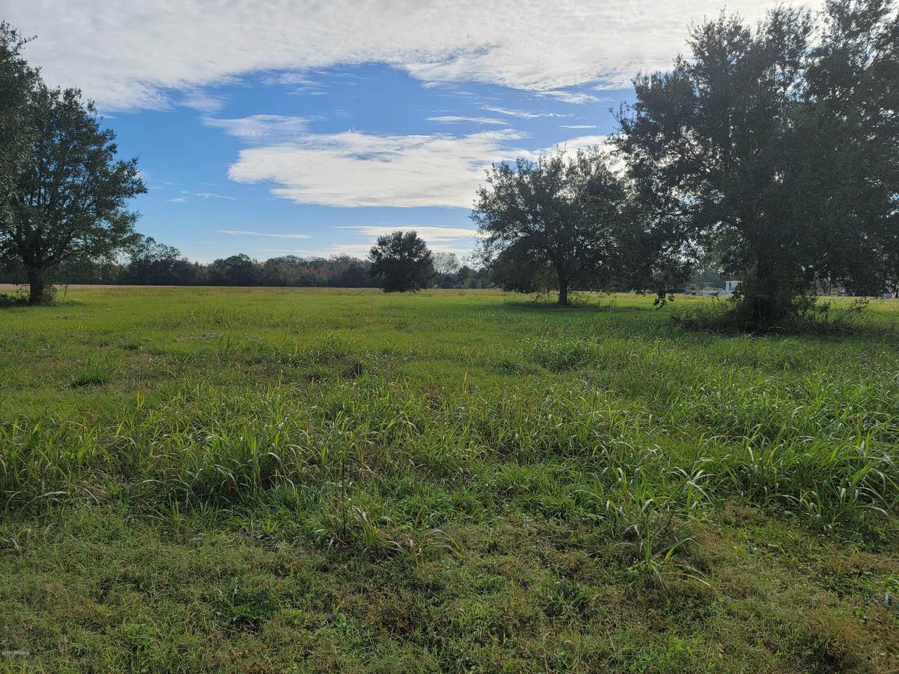 Tbd Seven Arpents Road - Photo 1