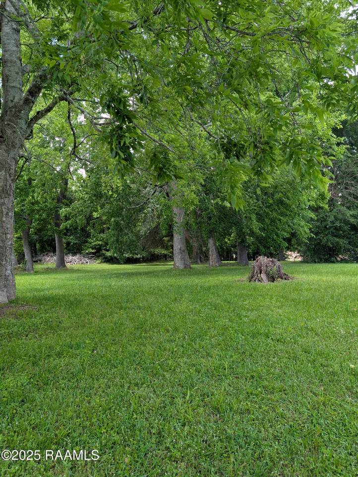 103 Thornhill Circle - Photo 1