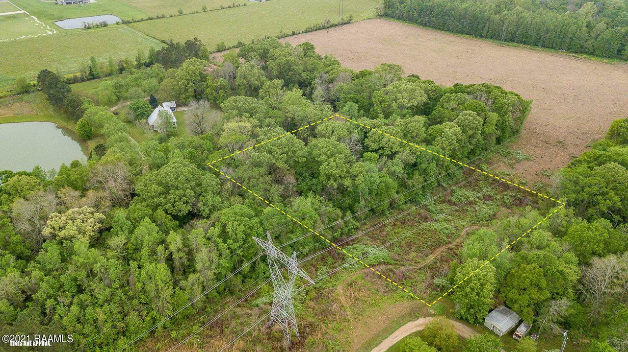 Tbd Muscadine Road - Photo 1