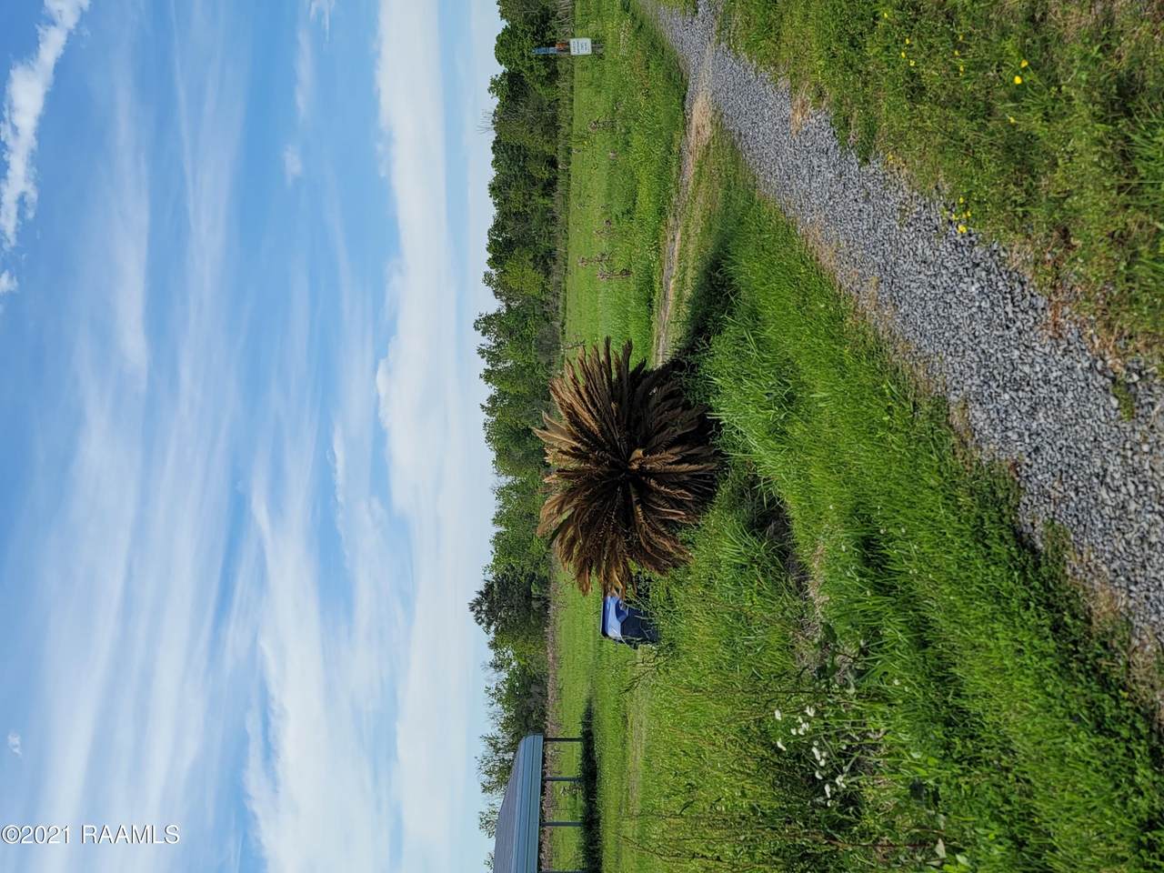 173 Brenda Lane - Photo 1