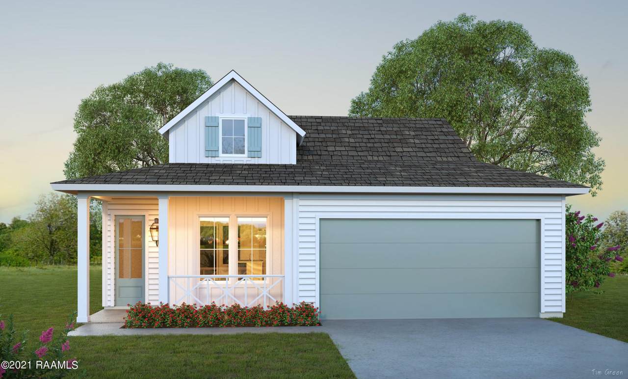 123 Jagged Grove Lane - Photo 1