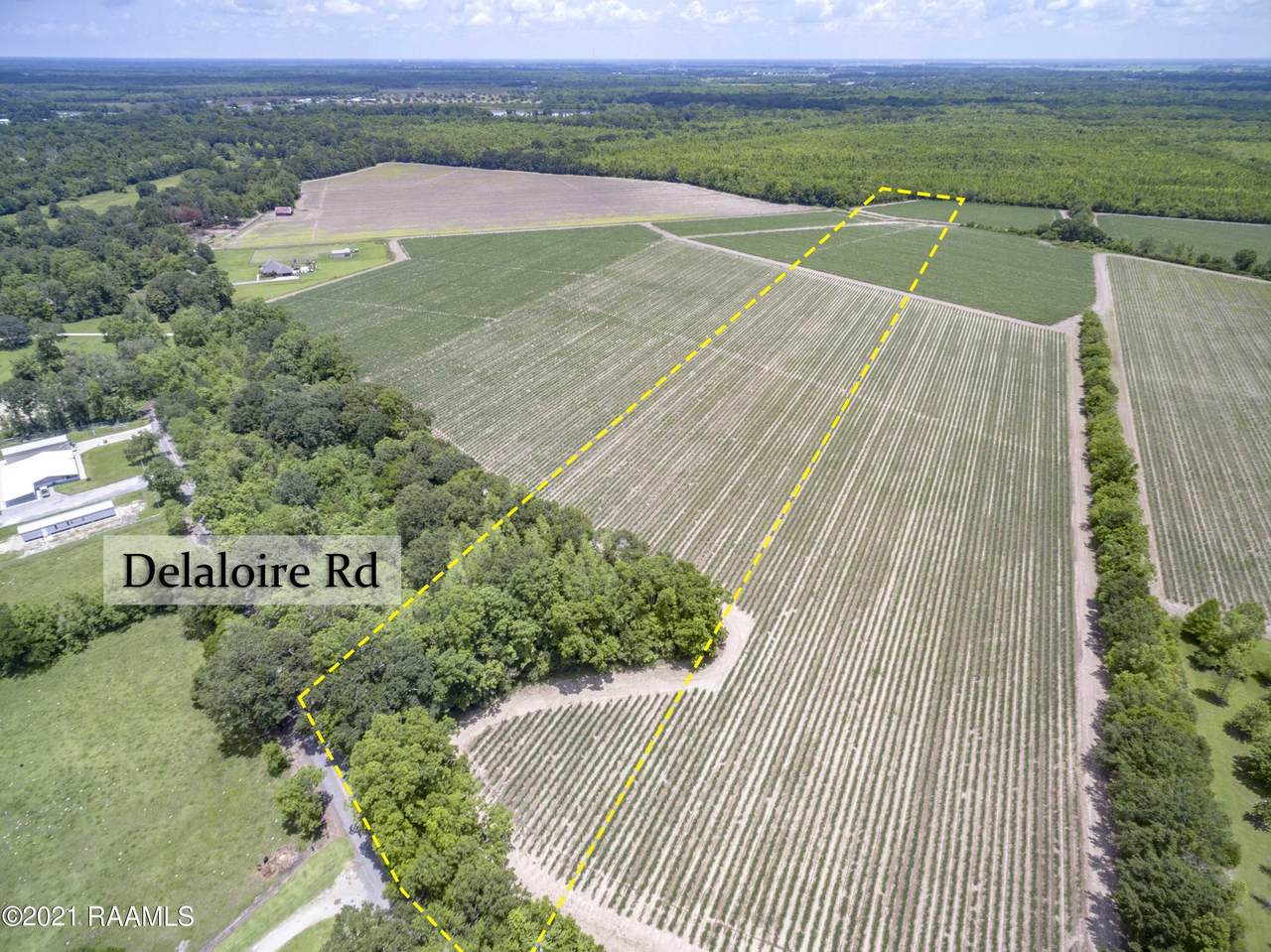 Tbd Delaloire Road - Photo 1