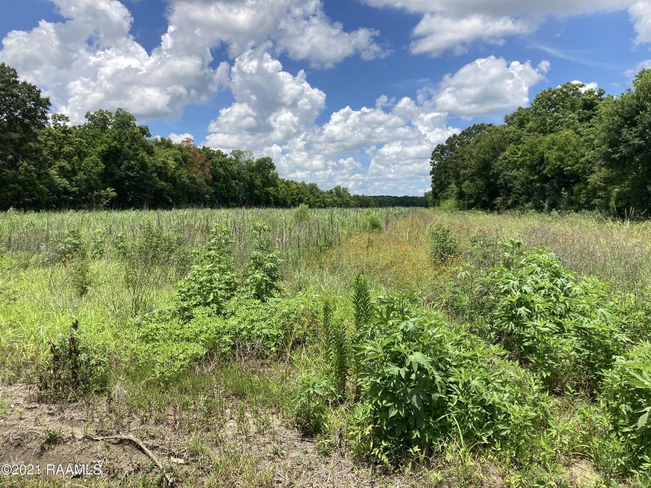 00001 Russo Millazzo Road - Photo 1