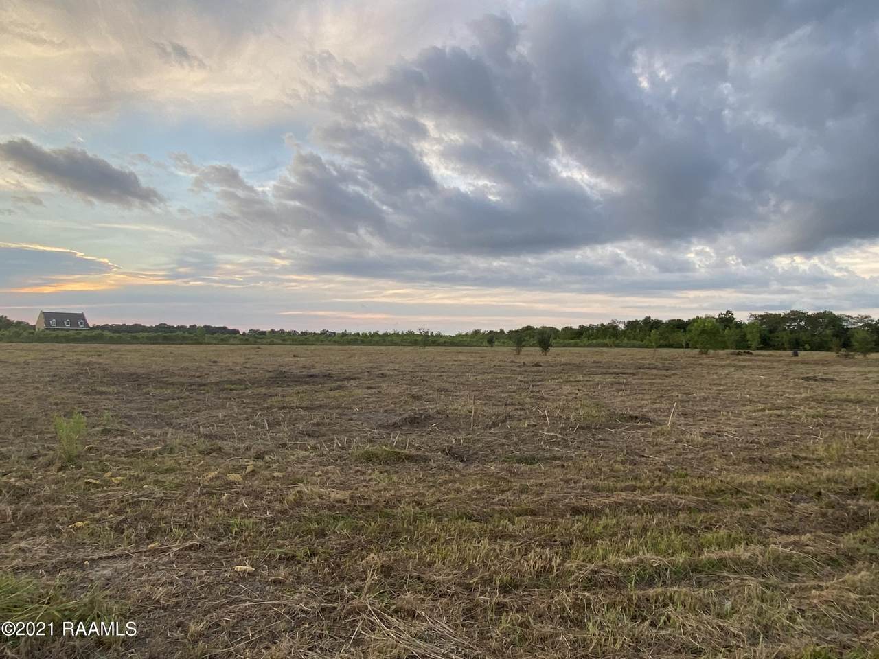 Lot 4 Bird Haven Road - Photo 1