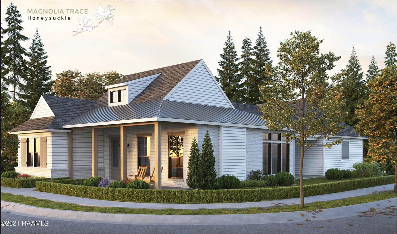 111 Tea Rose Drive - Photo 1