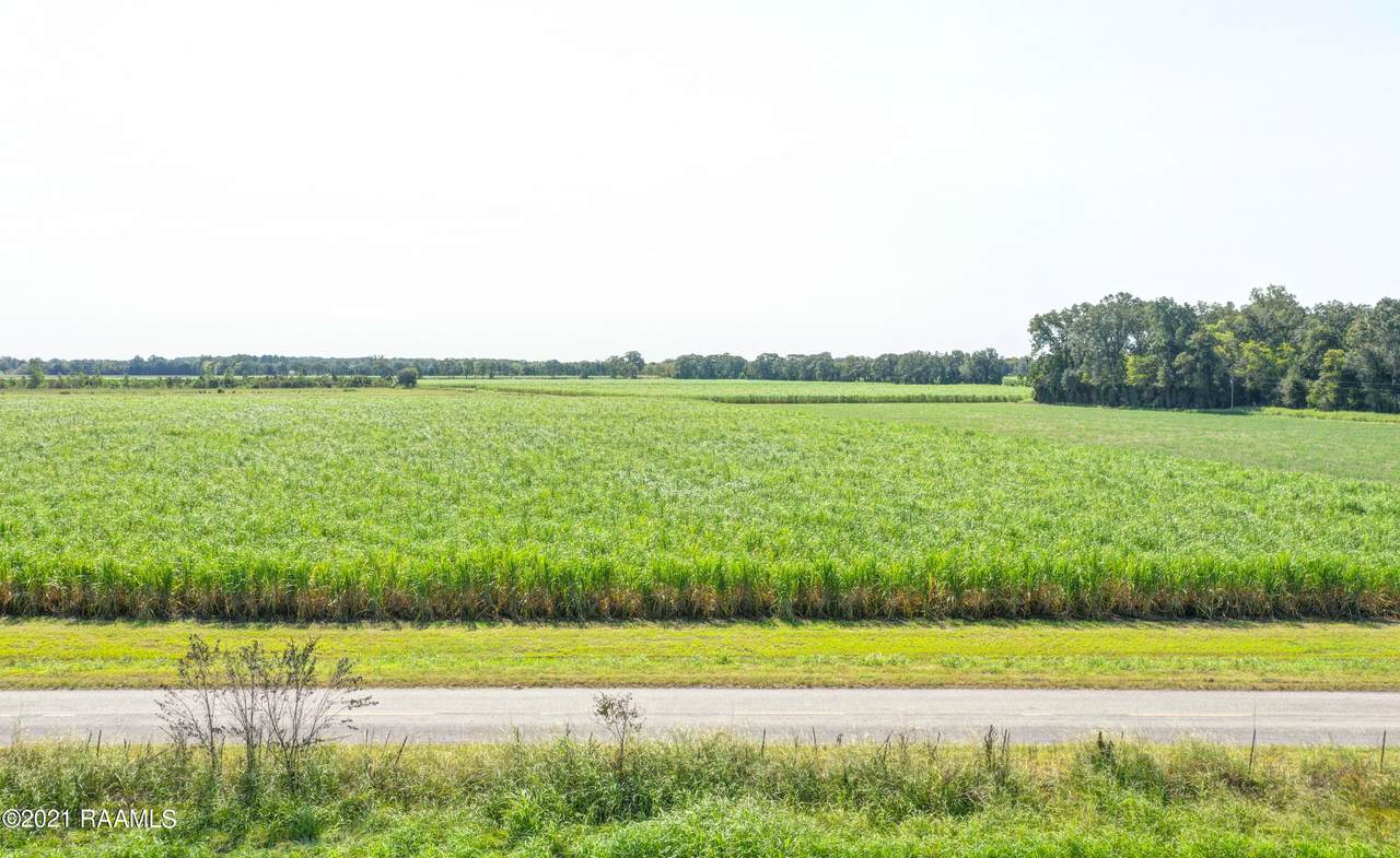 Tbd Frontage Rd & Edith Toney Drive - Photo 1
