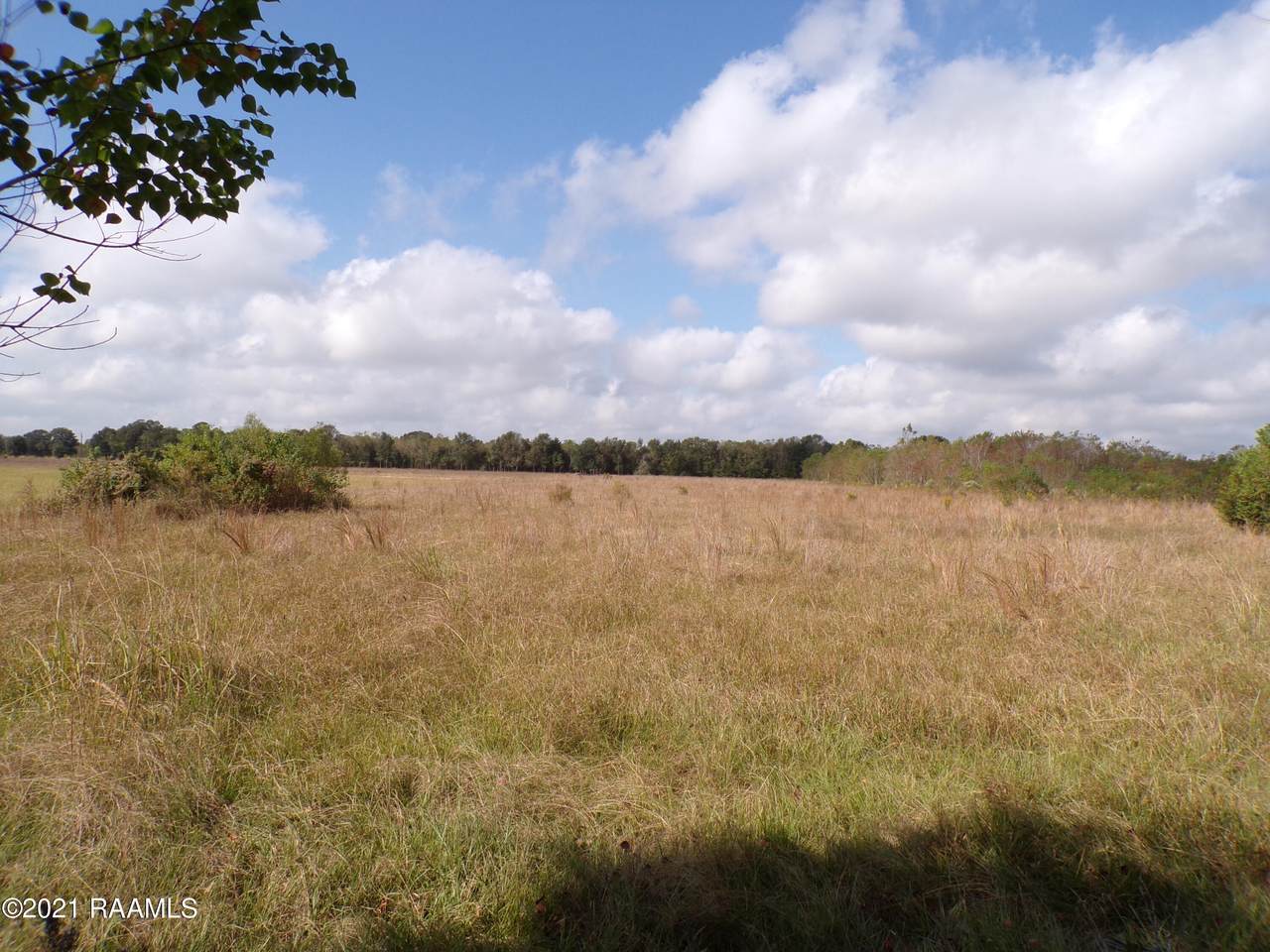 Tbd Nicole Road - Photo 1