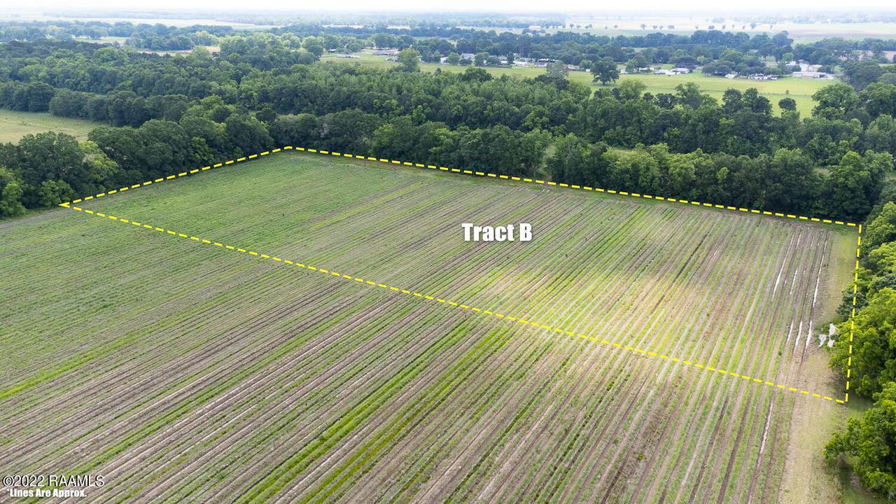 Tbd Ti Adam Guidry Road - Photo 1