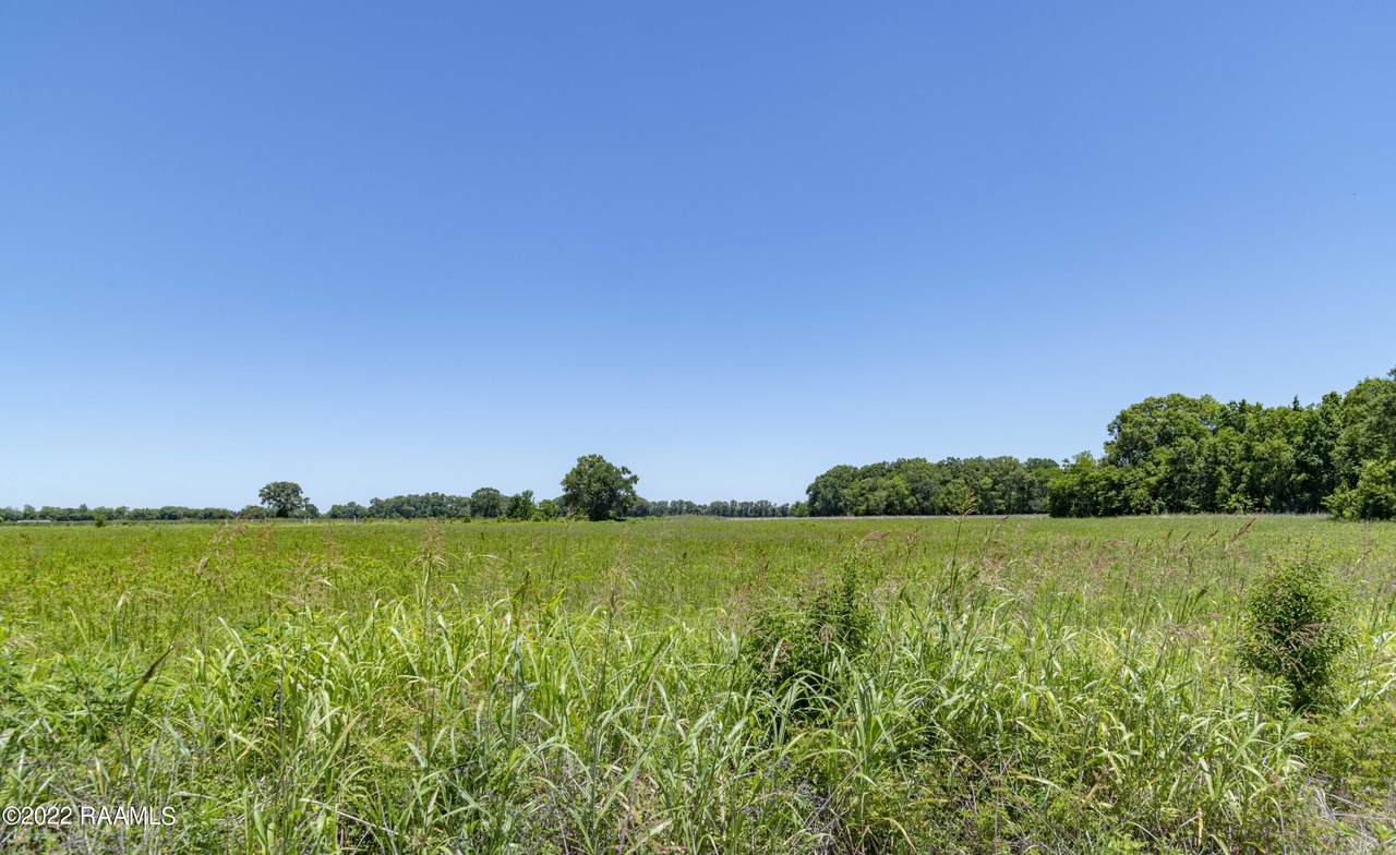 Tbd Koch Road - Photo 1