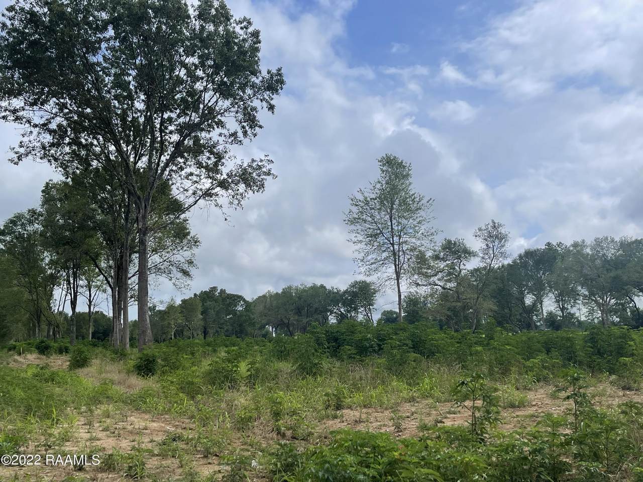 Ye Ole Country Rd (Lot 6) - Photo 1