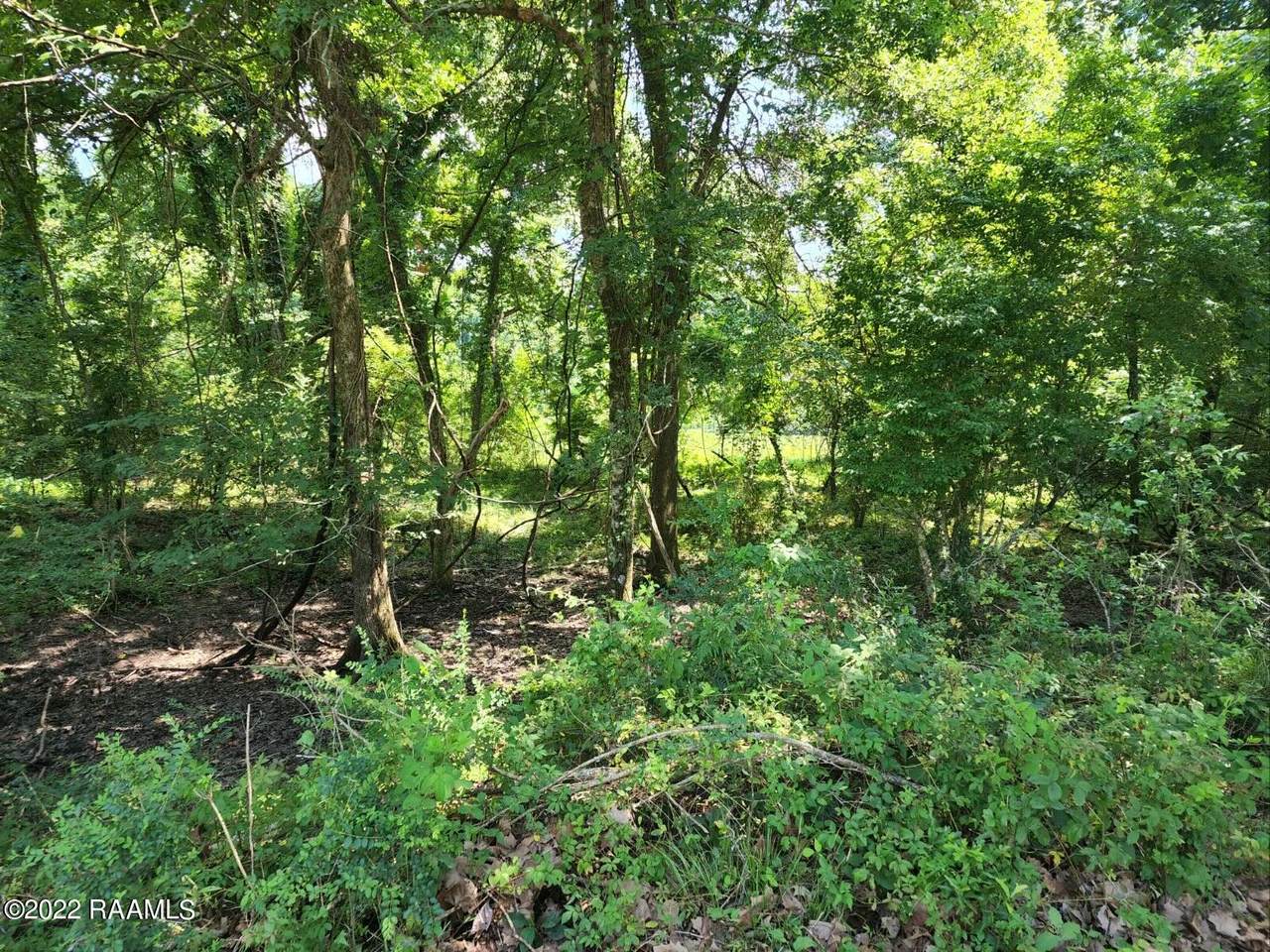 Tbd Egg Bend Rd - Photo 1