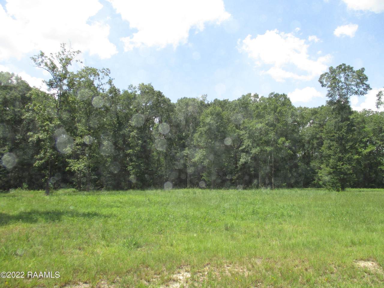Tbd Chicot Park Rd - Photo 1