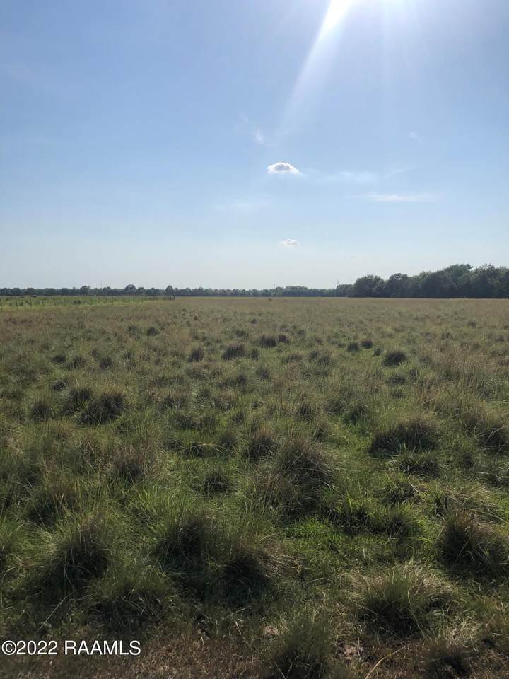 Lot 8 Grand Prairie - Photo 1