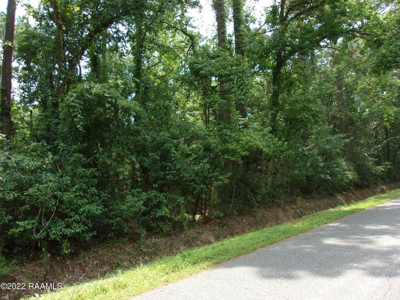 E Villien Avenue, Abbeville, LA 70510 (MLS 22006040) Keaty Real Estate