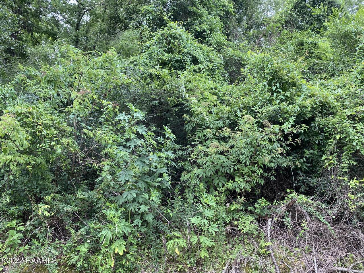 Tbd Marcia Avenue - Photo 1