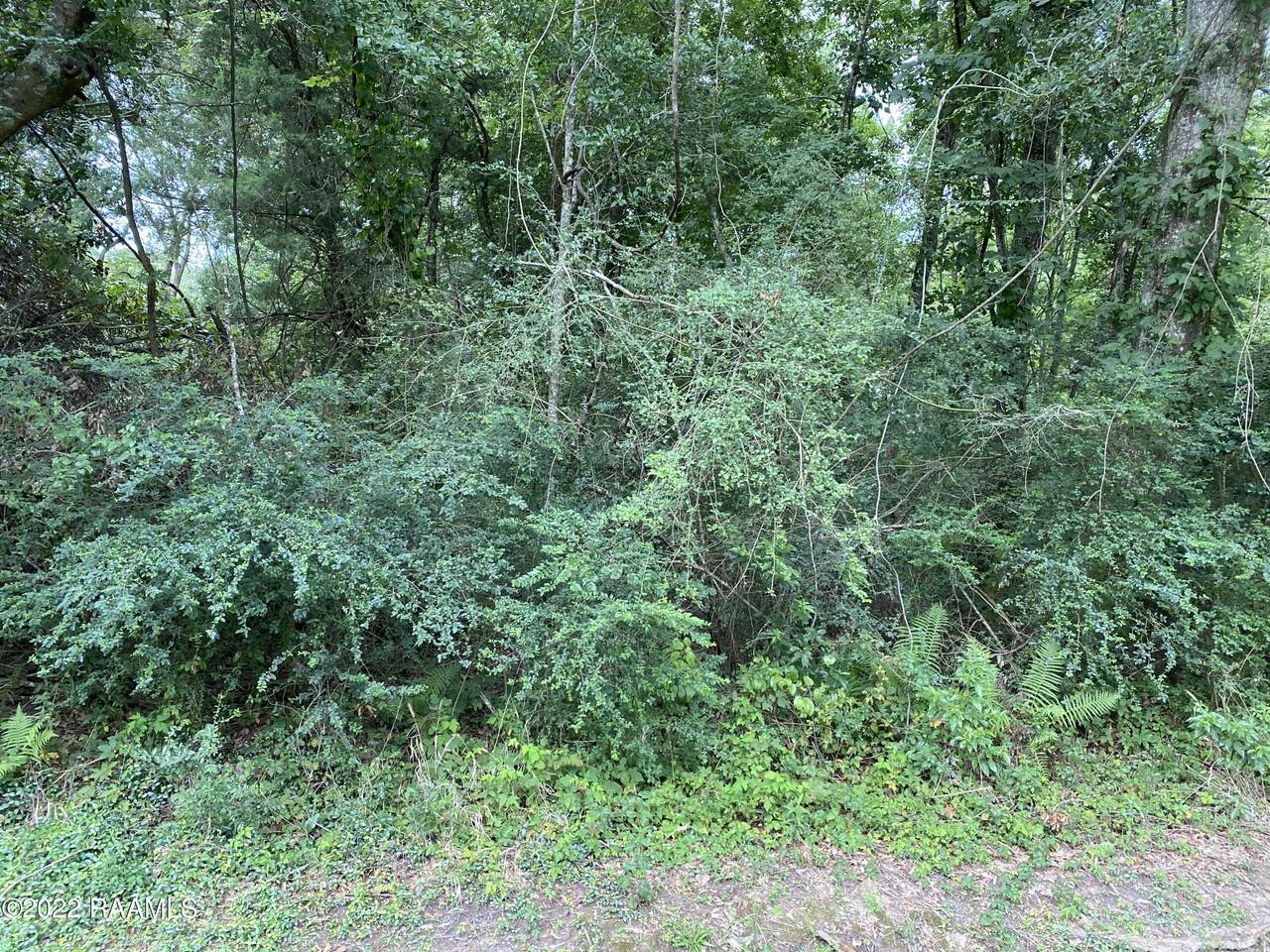 Tbd Marcia Avenue - Photo 1