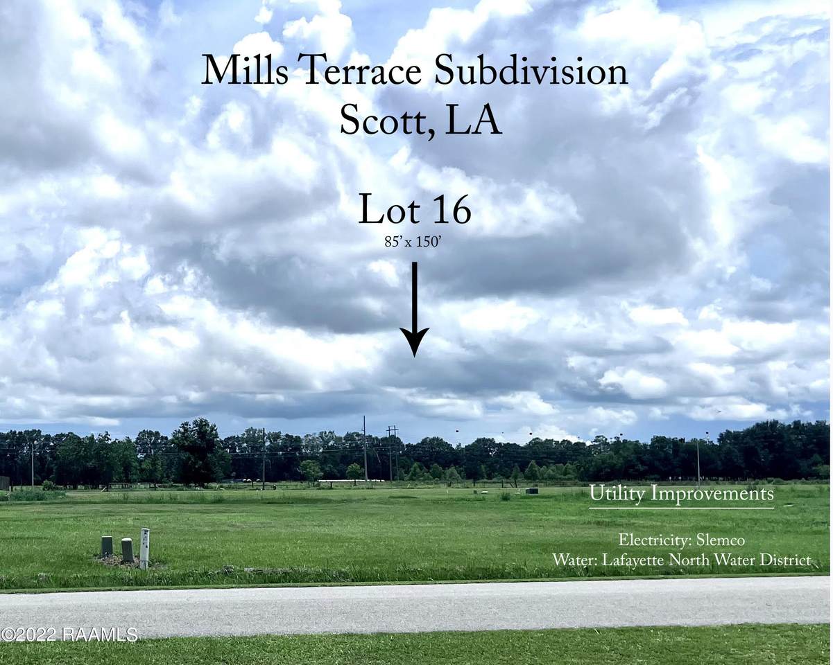 203 Doan Drive - Photo 1
