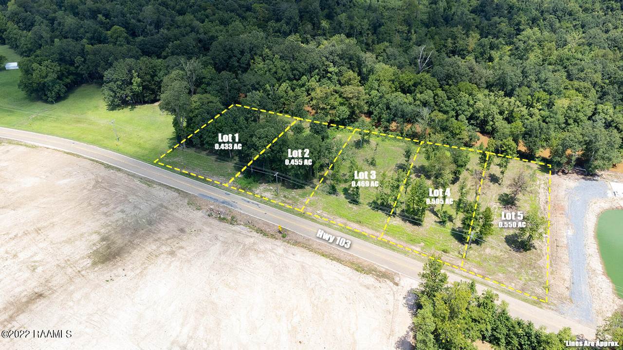 Tbd Hwy 103 - Photo 1