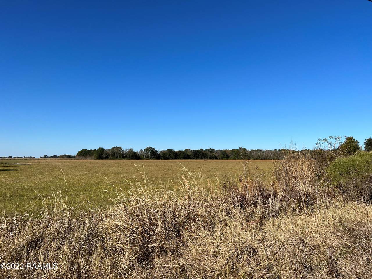 Tbd Babineaux Road - Photo 1
